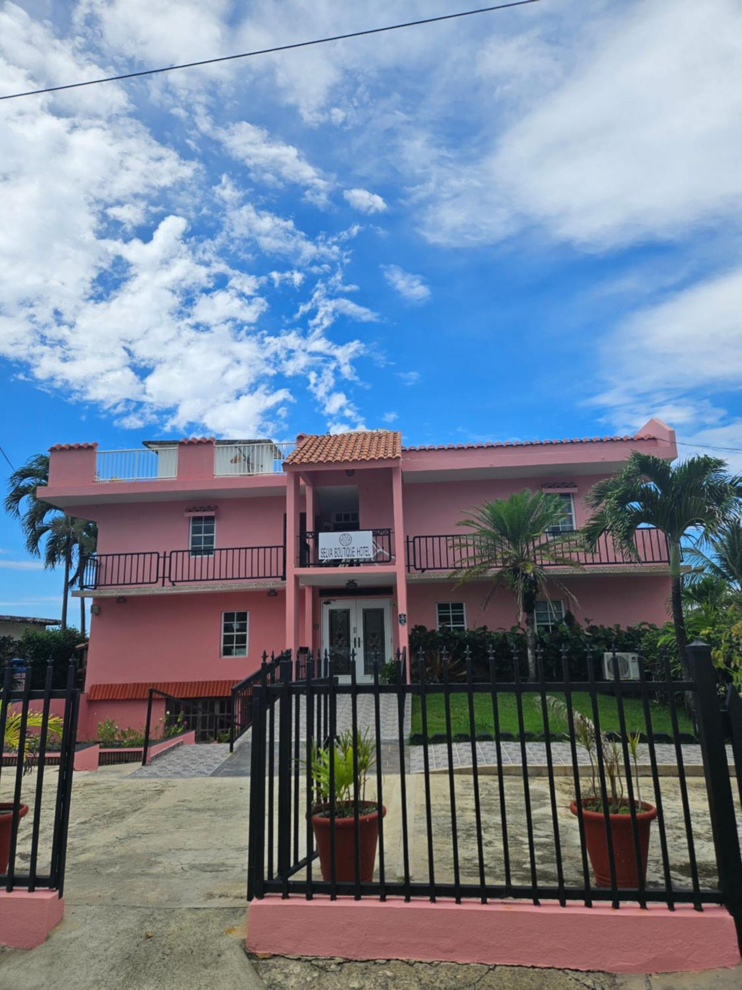 Selva Boutique Hotel - Luquillo Oceanfront Retreat - Adults Only Exterior foto